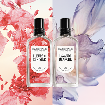 Fleurs de Cerisier Eau de Toilette | L'Occitane AU
